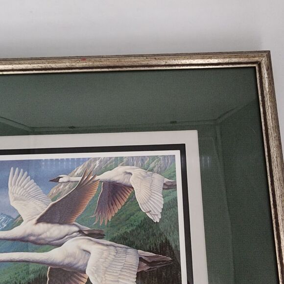 James Beaudoin 1988 Alaska Waterfowl Conservation Stamp Print Framed Art 1989 - Picture 5 of 11